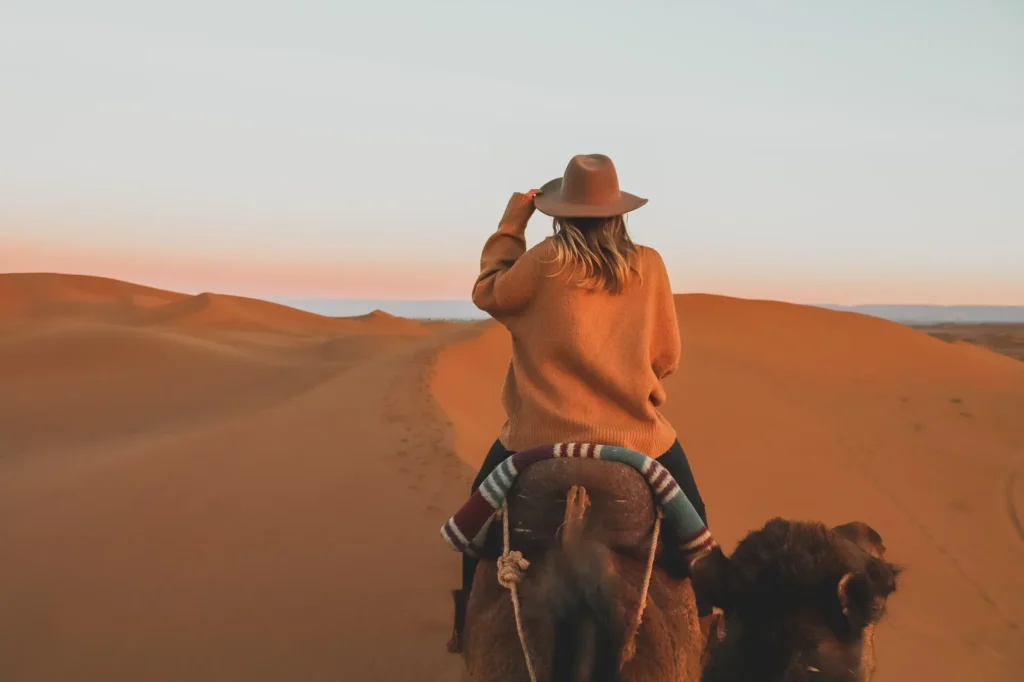 activity camel ride